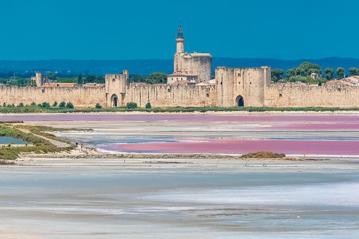 Maison Climatisee Avec Piscine Chauffee カルヴィッソン エクステリア 写真